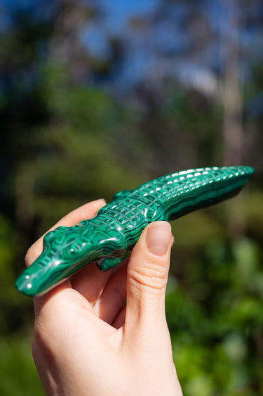 Malachite Crocodile